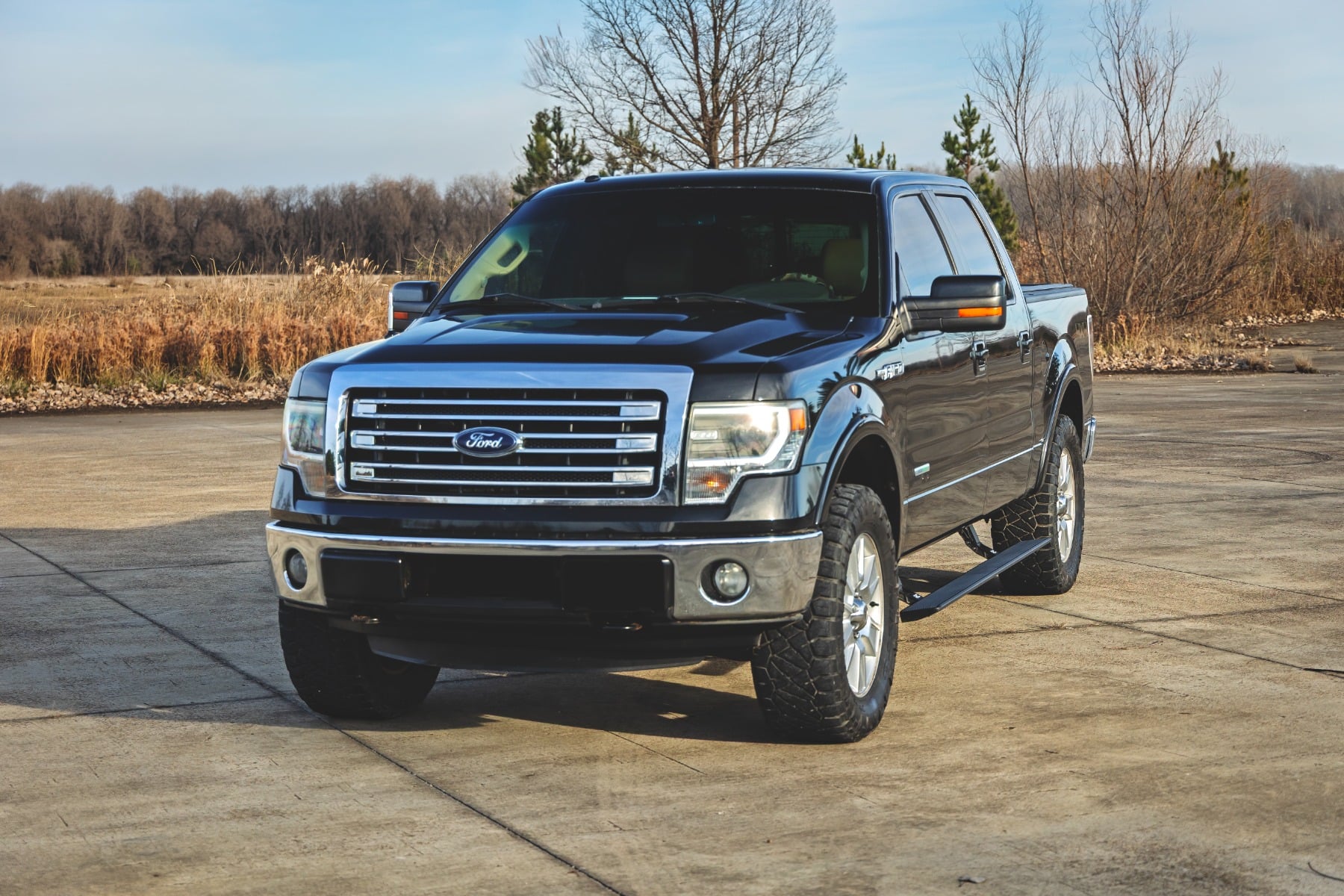 Rough Country Power Running Boards | Crew Cab | for Ford F-150 (2009-2014) ESR71529