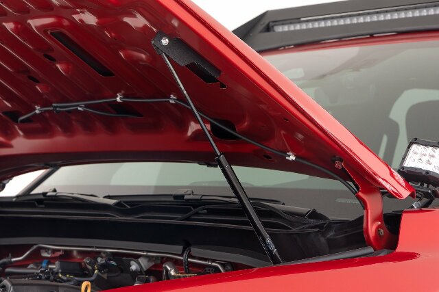 Hood Struts Hydraulic Toyota Tacoma 2024 -2