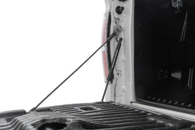 Tailgate Assist Ford F-150 2004-2014 73214