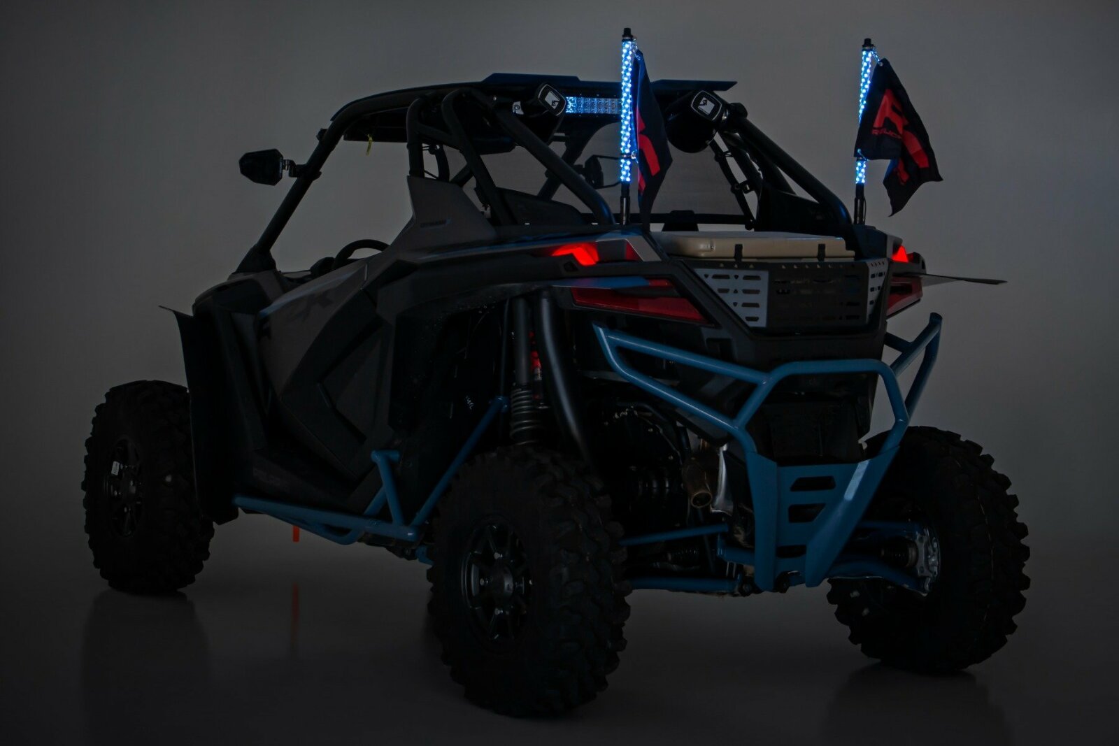 Rough Country Multi-Function UTV LED Whip Lights 2FT Remote Control 93002