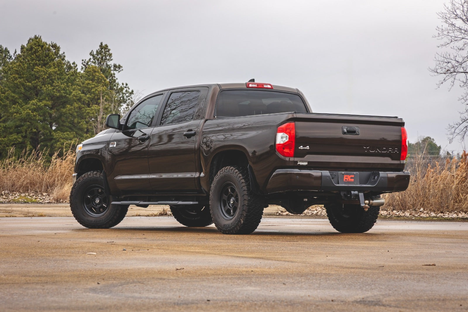 Rough Country TR2 Running Boards | CrewMax | for Toyota Tundra 2WD/4WD 2007-2021 95020