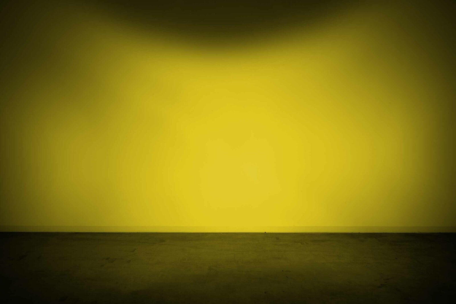 Morimoto Lens Only 4Banger (Yellow, Flood, Each) -1