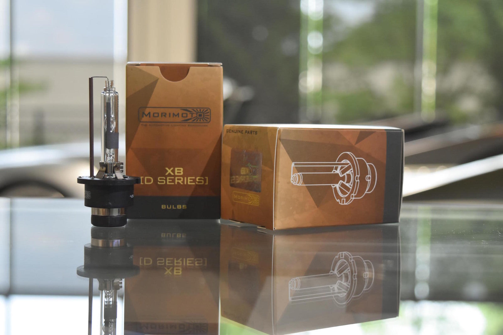 Morimoto D2R XB 4300K HID Bulbs (Pair) -6