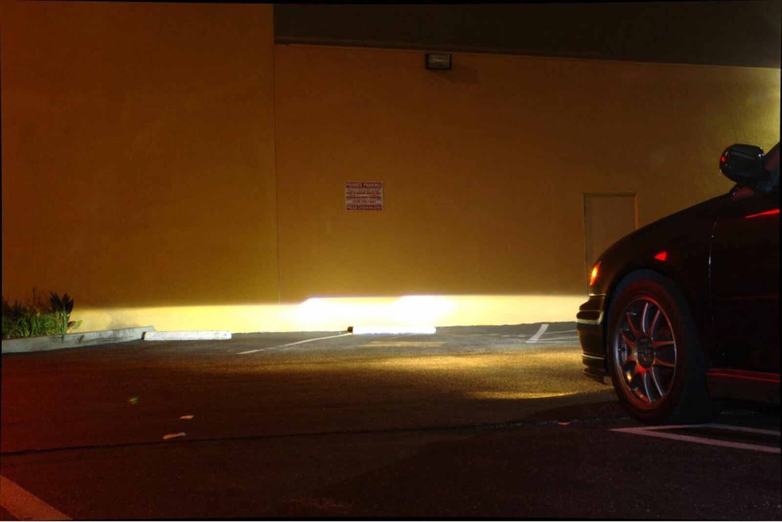 Morimoto Bi-Xenon ACME Standard (H1) -7