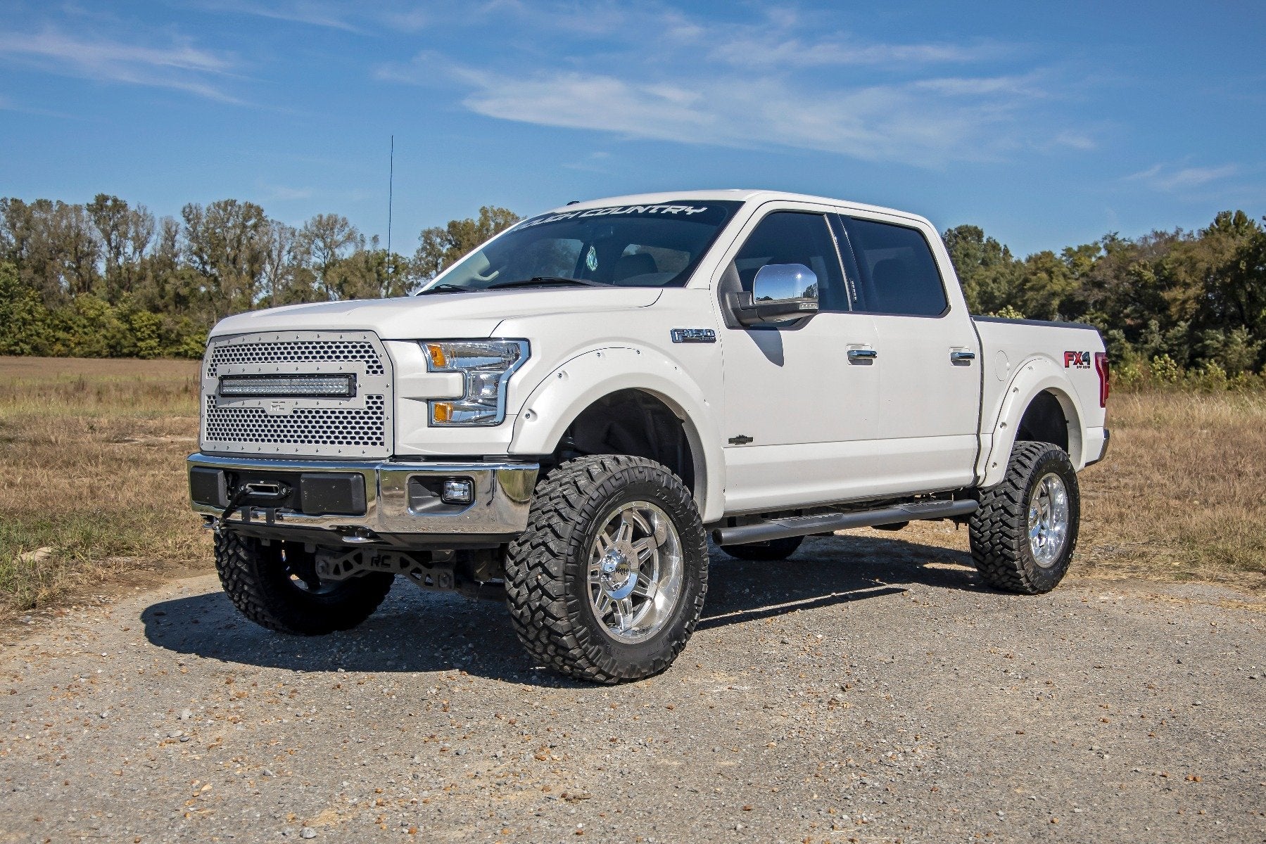 Rough Country Ford Oval Nerf Step Bars 15-20 F-150 SuperCrew Cab 21005