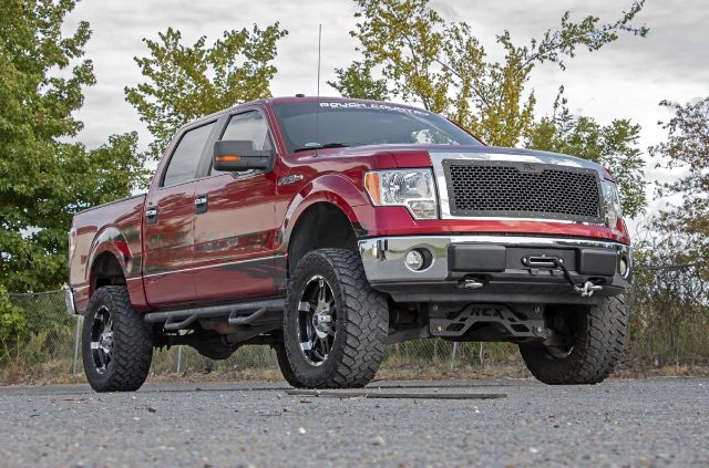 Ford Mesh Grille 09-14 F-150 -5