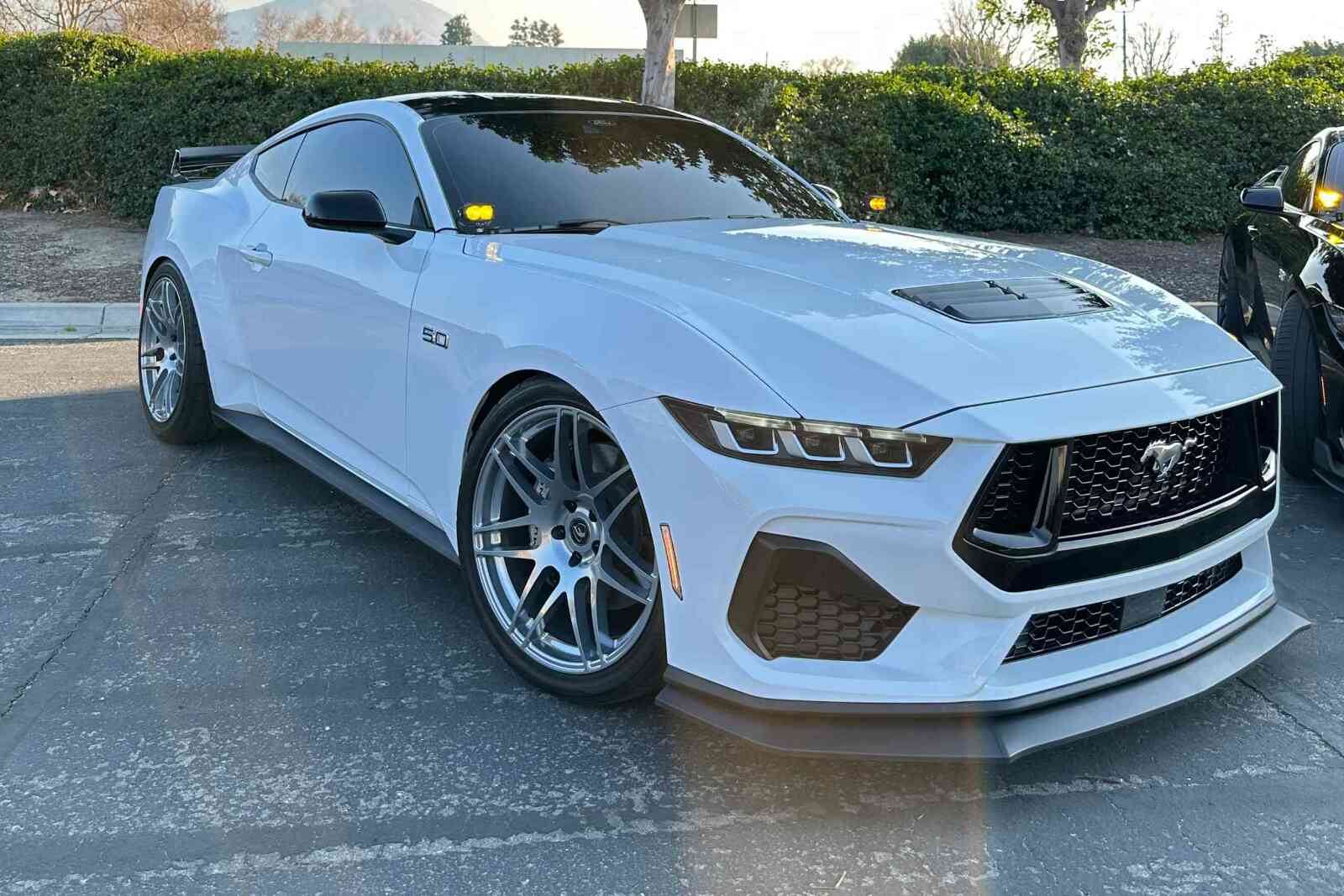 Morimoto GTR Lighting Morimoto 2Banger Drift Light Kit 2024+ Ford Mustang (HXB Y -2