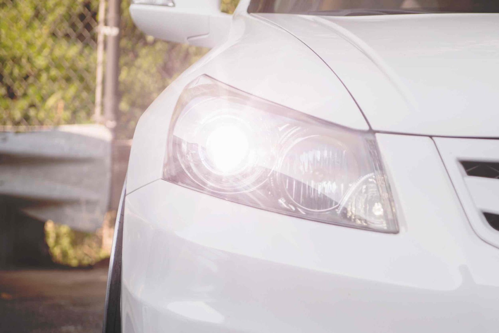 Morimoto H1 ACME HID (5000K) -6
