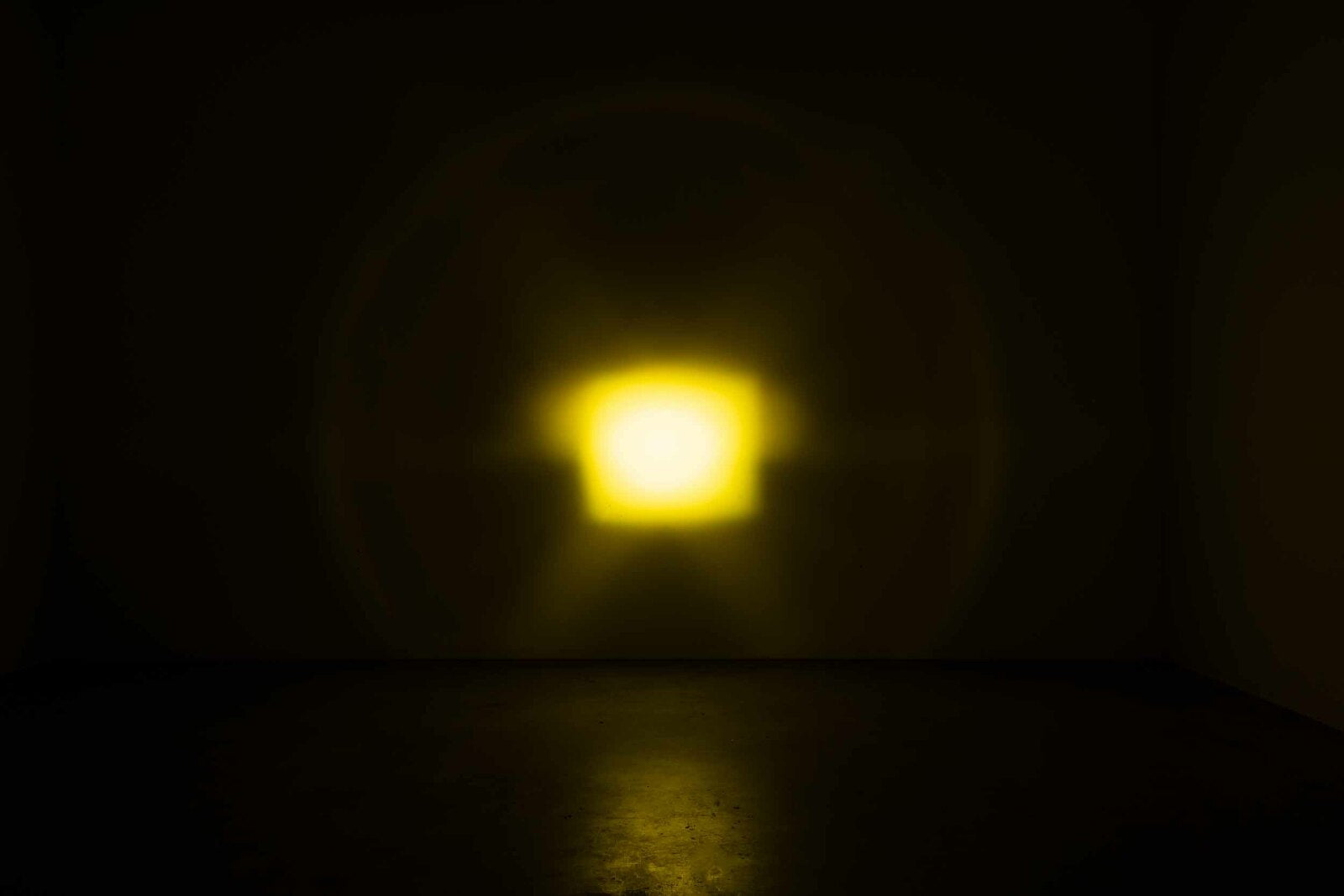 Morimoto Lens Only 4Banger (Yellow, Spot, Each) -4