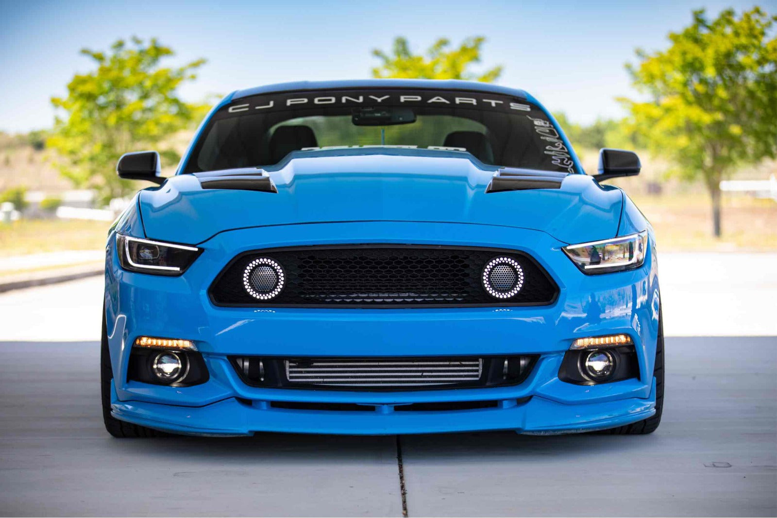 Morimoto Profile XB LED Turns Ford Mustang (15-17, Smoked Lens, Set) -9