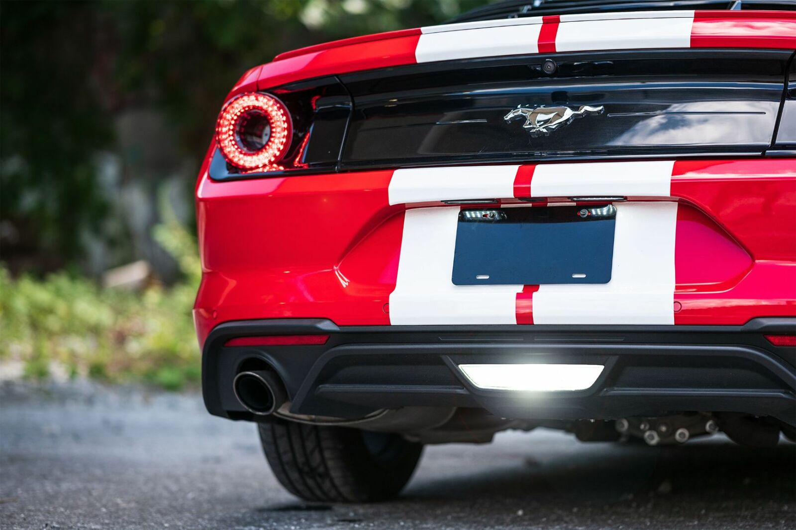 Morimoto XB LED License Plate Lights Ford Mustang (15-20, Set) -4